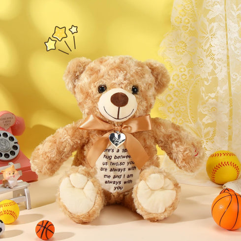 12 Inch Bear Stuffed Animals with Voice Recorder Photo Pendant Set Cute Soft Plush Bear Messages Playback Stuffed Animals with Zipper for Boys Girls Mother's Day Valentine's Day