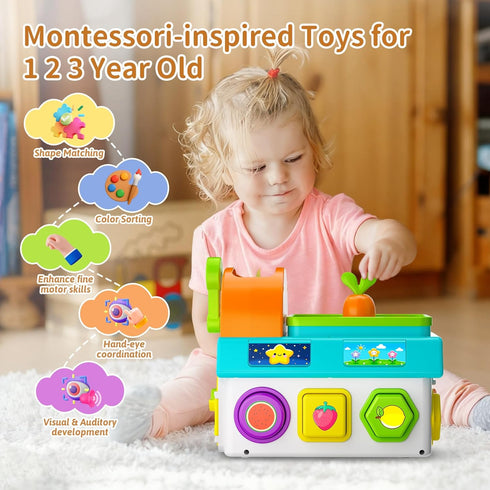 Zardali 1-2 1st 12-18 1-3 Montessori Toys for Year Old Boys Girls, First Birthday Gift for One Year Old, Baby Month
