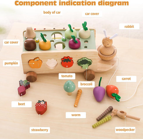 OESSUF Montessori Toys Toddlers Wooden Educational Toys for Baby Boys Girls, Shape Sorting & Matching Fine Motor Skills