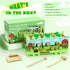 12+ Hammering Wooden Activity Cube Montessori Toys for Months Baby Boys Girls | Pounding Toys with Abacus, Educational
