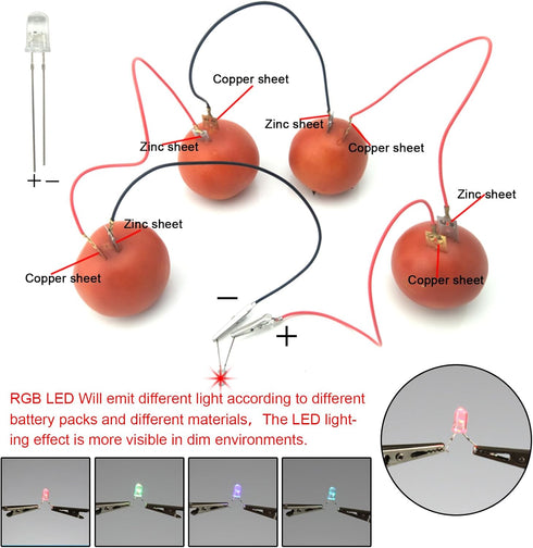 EUDAX Fruit Battery Science Experiment Kit - DIY Home Teaching Toy for School Science Project