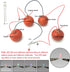 EUDAX Fruit Battery Science Experiment Kit - DIY Home Teaching Toy for School Science Project