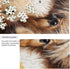 Puzzles for Adults, 1000 Piece Cute Highland Cow Sunflower Jigsaw Puzzle, Kids Game Toys Gift Home Decor