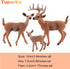 TUPARKA 9Pcs Miniature Forest Animals Set, Woodland Animals Figurines - Deer, Dog, Rabbit, Bear Figures for Cake Toppers