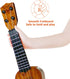 Kids Ukulele Musical Toy, 17 Inch 4 Steel Strings with Pick, Early Educational Learning Instrument Gift for Ages 3-6