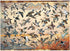 Cobble Hill 1000 Piece Puzzle - Ducks of North America with Sample Poster Included