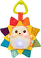 B. toys- B. baby Musical Light-Up Hedgehog Toy with Lights & Sounds - Sensory Toy for Newborns and Babies