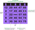 250 Bingo Game Cards - Purple, 4” x 3.5”, Customizable for Events, Single or Multi Use