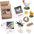MEROCO Chicken Life Cycle Toys for Kids 3-5 - Animal Flashcards with Figurines, Preschool Learning Game