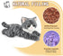 Gray Tabby Cat Stuffed Animals, Microwavable Stuffed Animal Adorable Fluffy Cat Plush for Warmth & Comfort, Heatable