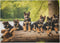 500 Piece Jigsaw Puzzles - German Shepherd Puppies Lakeside Retreat Wooden Puzzles for Family Fun and Gifts
