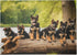 500 Piece Jigsaw Puzzles - German Shepherd Puppies Lakeside Retreat Wooden Puzzles for Family Fun and Gifts