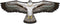 WindNSun Supersize Ultra Osprey Kite - 70 Inches Wide Ripstop Nylon Kite for Outdoor Fun