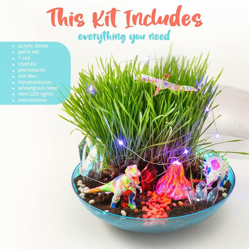 Bryte Light Up Dinosaur Terrarium Kit for Kids, Dino Habitat with Real Plants, LED Lights, Birthday Gifts