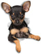 Winston & Bear 3D Dog Stickers, 2 Pack, Toy Terrier Puppy for Wall, Fridge, Toilet and More