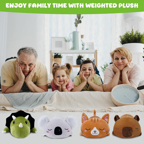 TOYSYM Weighted Stuffed Animals Triceratops, Dinosaur Plush with Weighted Beads, Cute Triceratops Dinosaur Stuffed