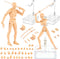 Yookeer Body Set, Drawing Action Figures Female and Male PVC Drawing Doll