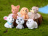 12 Pcs Miniature Dog Figures, Cute Animal Toy Collection for Cake Toppers and Plant Decor