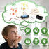 6-8 8-10, 6 8-12, 6 7 9 10 13 STEM Kits for Kids Age Bulk DIY Electric Circuit Lamp Kits for Kids Crafts Science
