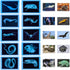 20 Pcs Animal Xrays and Picture Cards - Veterinary Toys & Educational Science Kit for Kids, Explore The Fascinating
