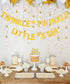 Twinkle Twinkle Little Star Decorations, Baby Shower or Birthday Party, Moon and Star Balloons, Pink and Gold