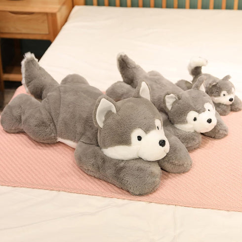 Doireum 3.3 lbs 19.6 inch Weighted Stuffed Animals, Weighted Husky Stuffed Animal Plush Toy Cute Huskies Plush Animals