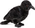 Crow Stuffed Animals, 10 Inch Realistic Black Raven Plush Toy, Cute Wild Animal Gift