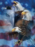 SUNSOUT INC - Patriotic Eagles 1000 pc Jigsaw Puzzle by Artist Steven Michael Gardner - Finished Size 20" x 27"