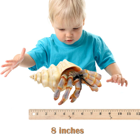 Gemini&Genius Sea Animal Hermit Crab Action Figure Toy for Kids, Realistic Ocean Crab Educational Role Play Toy