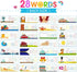 KMUYSL Learning Toys for Boys and Girls Age 2-6 - See & Spell CVC Word Builders with Alphabet Cards, Preschool Gifts