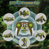 8 2.4Ghz 360 5-7 8-12, 4-6 Wheels Dinosaur Transform RC Stunt Car - Remote Control Dinosaurs Monster Truck