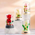 MEIEST Set Building Blocks Flowers Bouquet with Music Box and Dust-Proof Dome,Artificial Particle Flower Collection