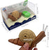Realistic Remote Control Snail Toy - Electronic Crawling Insect for Kids