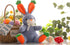 15 inch HollyHOME Bunny Stuffed Animal, Bunny Plush Toys, Cute Carrot Rabbit Easter Gift for Kids Girls Boys Navy Blue