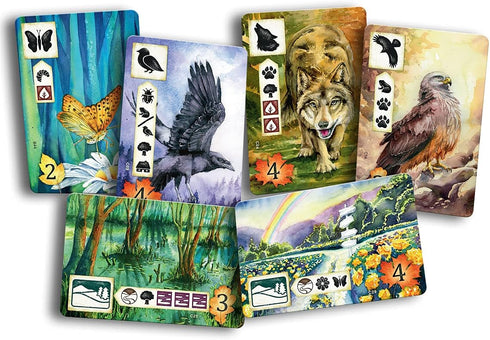Meadow Board Game - Nature Observing Drafting and Set Collection Game, Strategic Exploration, Fun Family Game for Kids