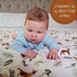 100% 47 47 Inches 3 Pack) LollyBanks Baby Blankets, Muslin Cotton Swaddle Blanket for Boys and Girls, Soft and Large x