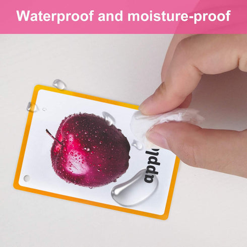 Richardy Fruits/Vegetable/Foods/Food Quantities Flash Cards English Flash Cards Pocket Card Learning Toys for Children