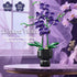 NERCISU Sets 8-12+ (666 Orchid Flowers Building with Vase, Purple Orchid Botanicals Collection Building Toys for Home