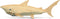 Puzzled 3D Puzzle Shark Wood Craft Construction Model Kit, Fun Educational DIY Wooden Toy Assemble Model