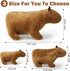 Capybara Stuffed Animal Plush Toy,Capybara plushie,Stuffed Capybara Gifts (7.8 inches)