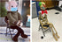 DS. DISTINCTIVE STYLE Mini Chair 1/6 Scale Furniture Doll Chair, Black Tiny Folding Chair for Dollhouse