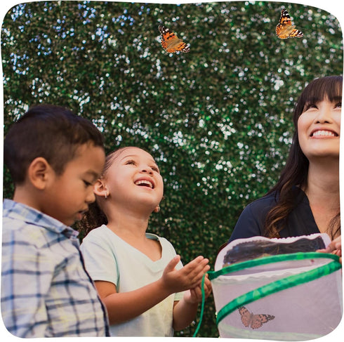 18 Inch 5 Insect Lore Giant Butterfly Garden with Voucher | Habitat | Life Cycle Figurines Included | Voucher to Redeem