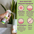 (3 Pack) 1.7 oz Boogie No-Rub Diaper Rash Spray - fl - Diaper Cream Spray for Infants and Babies - Touch-Free