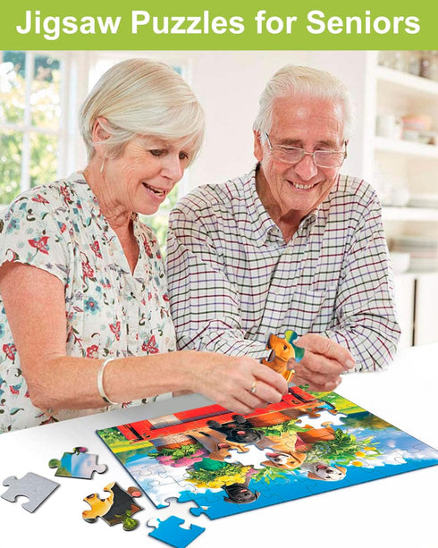 6 Pack 48 Yigney Large Piece Jigsaw for Seniors Alzheimer Products for Elderly Dementia Activities Memory for Patients