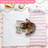 PHF Toddler Nap Mat with Removable Pillow and Minky Fleece Blanket, 50"x20"x2" Rollup Design for Kids