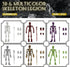 6 Pack T13 Set 2 Dummy 13 Skeleton Action Figure Each with Scepter & Hand Types Titan Lucky Action Figure Multi-Jointed