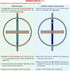 2nd DG-5B DjuiinoStar Premium Gyroscope: Sturdy&Durable, Pass Floor Drop Test, Long Spin Time (Play Tricks at Ease, Use