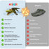 Moskiddo 3-5, 5-7, 10-12, 4-6, 6-8, Summer Swimming 8-12 Remote Control Boat Crocodile Water Toy for Kids RC Alligator
