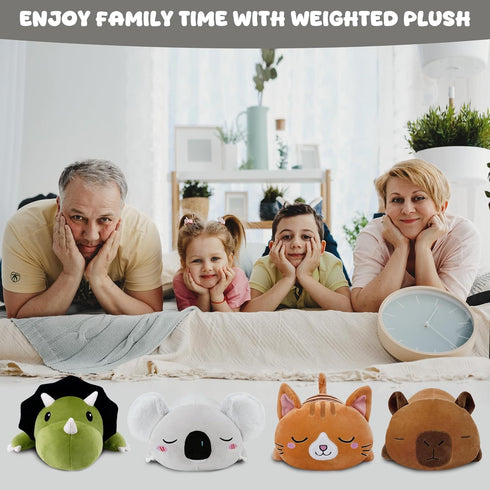 23.6 Inch TOYSYM Weighted Stuffed Animals Koala, Koala Plush with Weighted Beads, Cute Plushie Pillow Gifts for Adults