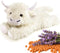 Highland Cow Stuffed Animals - Heatable Weighted Stuffed Animals, Lavender Scented Cow